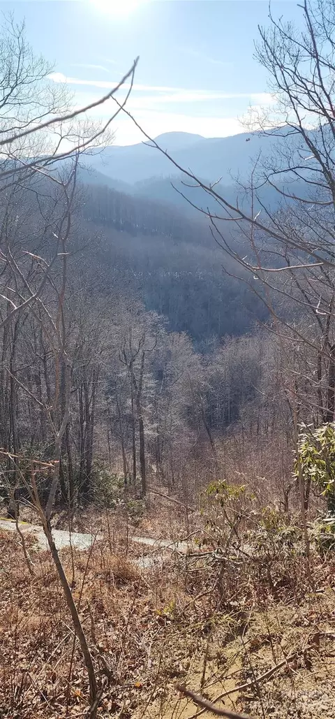 9999 Still Spring Lot 4 Rd #LOT 4, Black Mountain, NC 28711