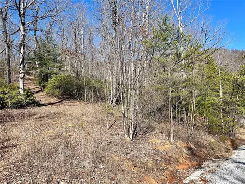 320 Rhododendron 734 Dr #734, Old Fort, NC 28762