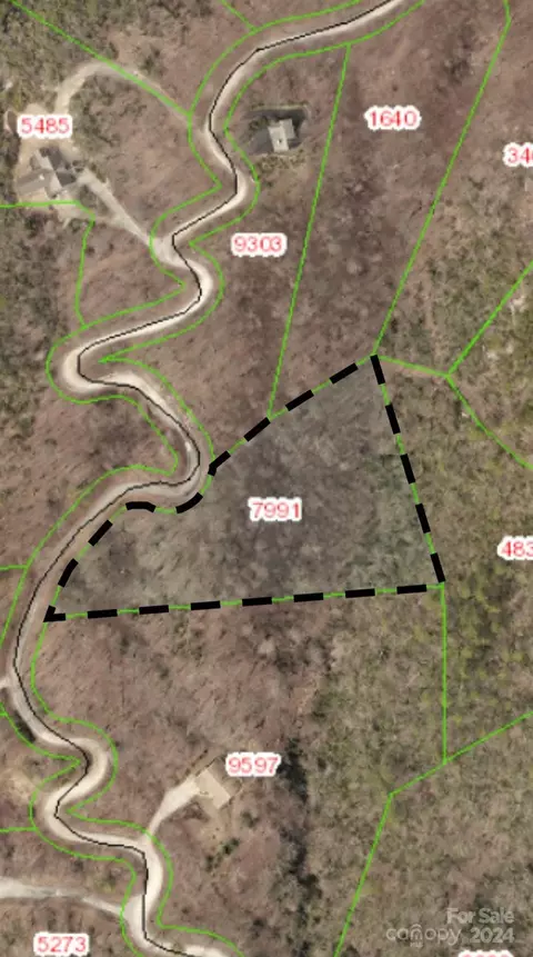 1013 Wolf Pen 1013 Rd #1013, Old Fort, NC 28762