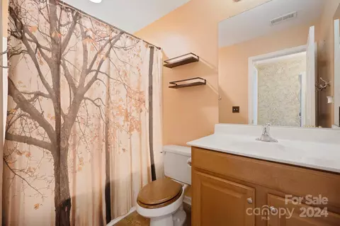Bath - 1969 Faison Ave, Fort Mill, SC 29708 photo 5 of 5