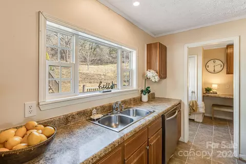 23 Yorkie Dr, Clyde, NC 28721 photo 9
