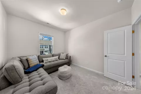 271 Brooks Springs Dr, Fort Mill, SC 29708 photo 31
