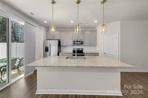 271 Brooks Springs Dr, Fort Mill, SC 29708 photo 11