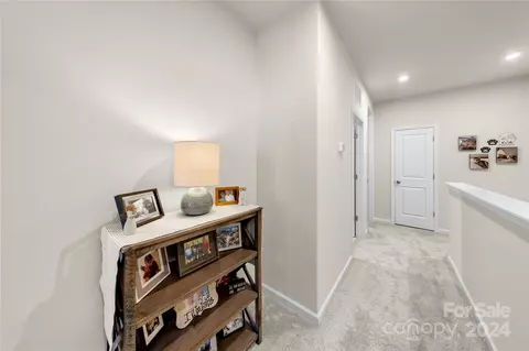 271 Brooks Springs Dr, Fort Mill, SC 29708 photo 21