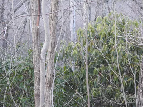 0 Rolling Ridge Trl, Lake Lure, NC 28746