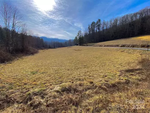 9999 Meadow Fork Rd, Hot Springs, NC 28743
