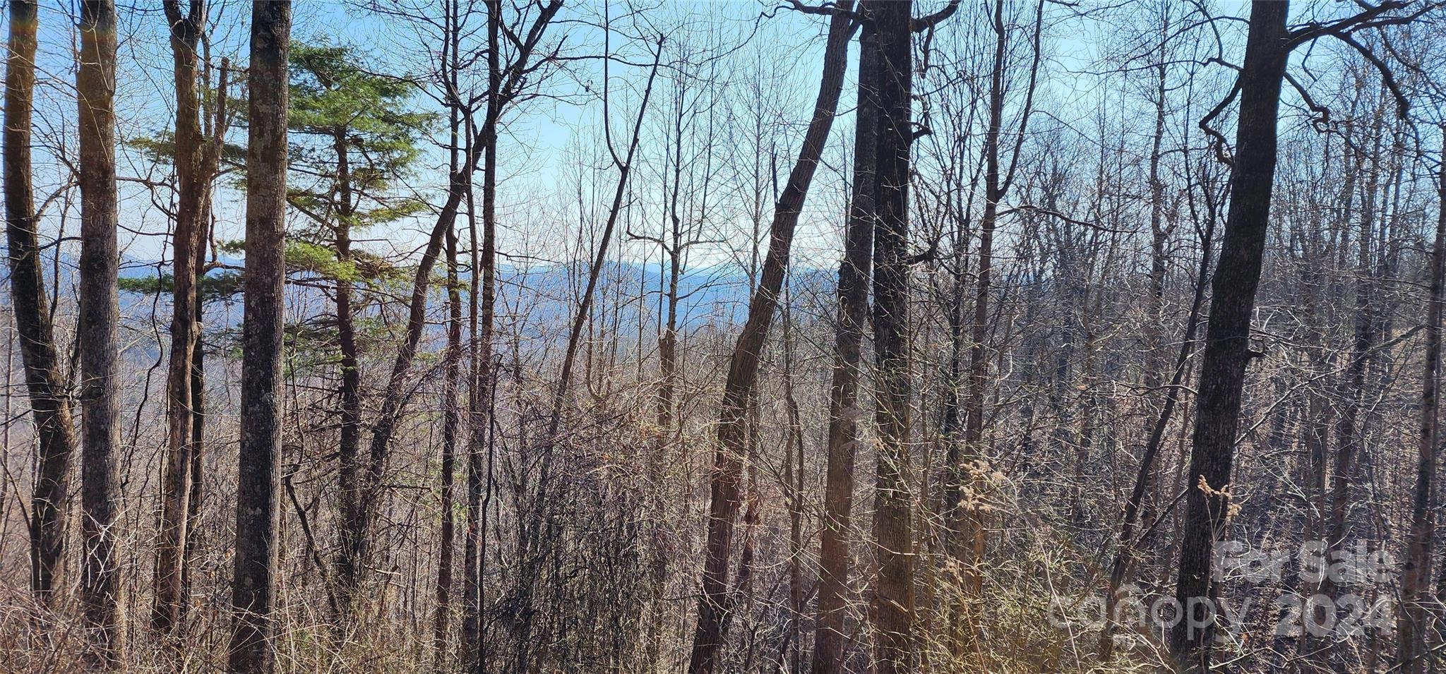 999 Pinnacle Mountain Lot Unit 8 Rd Unit Lot 8  