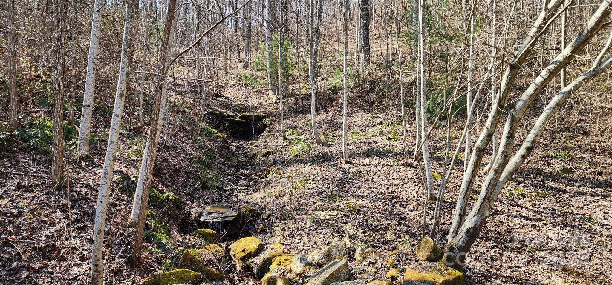 999 Falkirk Lot Unit 9 Way Unit Lot 9