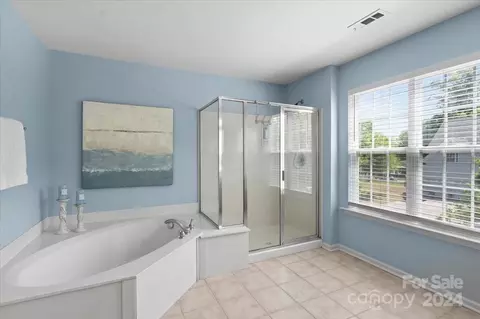Bath - 533 Evening Mist Dr, Fort Mill, SC 29708 photo 2 of 3