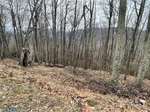 102 Flame Azalea Ln, Mars Hill, NC 28754
