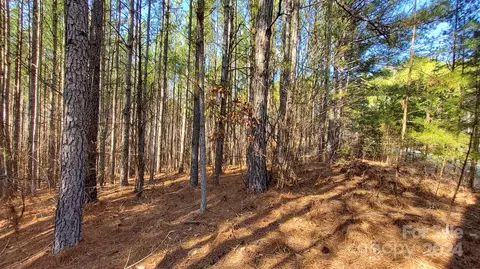 0 Sunset 20 Dr #20, Mill Spring, NC 28756 photo 9