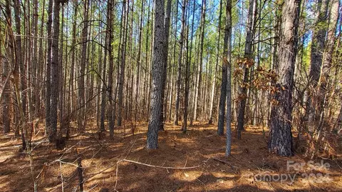 0 Sunset 20 Dr #20, Mill Spring, NC 28756 photo 10