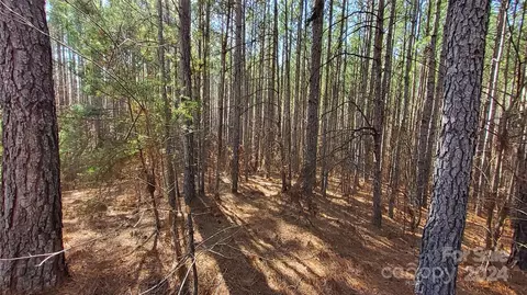 0 Sunset 20 Dr #20, Mill Spring, NC 28756 photo 11