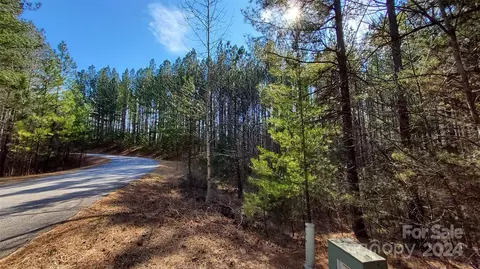 0 Sunset 20 Dr #20, Mill Spring, NC 28756 photo 13