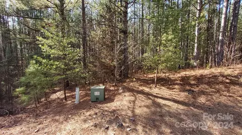 0 Sunset 20 Dr #20, Mill Spring, NC 28756 photo 6