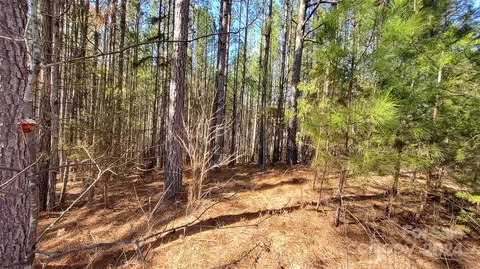 0 Sunset 20 Dr #20, Mill Spring, NC 28756 photo 8