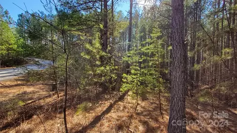 0 Sunset 20 Dr #20, Mill Spring, NC 28756 photo 12