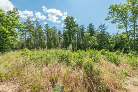 4569 Firtowr Dr #E, Morganton, NC 28655 photo 4