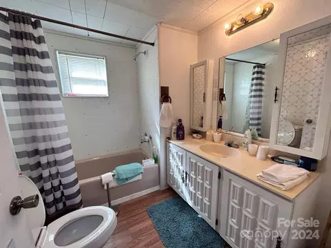 Bath - 110 Pole Miller Ext, Brevard, NC 28712 photo 1 of 3