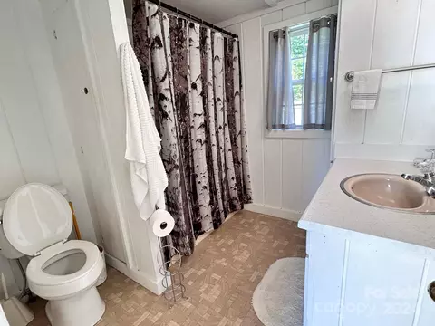 Bath - 110 Pole Miller Ext, Brevard, NC 28712 photo 2 of 3