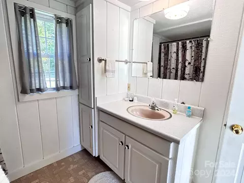 Bath - 110 Pole Miller Ext, Brevard, NC 28712 photo 3 of 3
