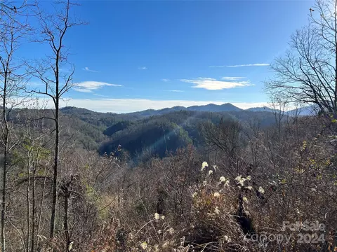1380 Little Pine Rd, Marshall, NC 28753