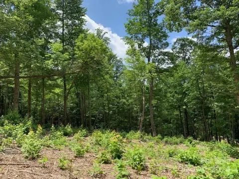 99999 Haviture 3 Way #3, Candler, NC 28715