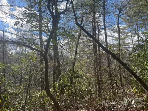 Severt Road, West Jefferson, NC 28694