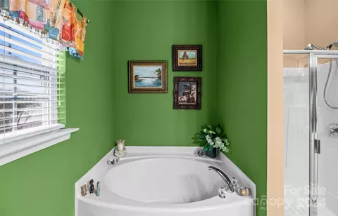 Bath - 978 Platinum Dr, Fort Mill, SC 29708 photo 3 of 4