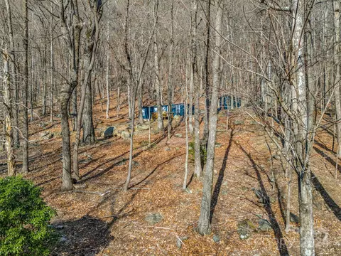 View/Area - 1730 Judes Gap Rd, Mill Spring, NC 28756 photo 12 of 13