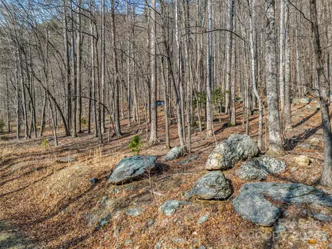 Exterior - 1730 Judes Gap Rd, Mill Spring, NC 28756 photo 5 of 6