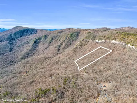 View/Area - 1730 Judes Gap Rd, Mill Spring, NC 28756 photo 7 of 13