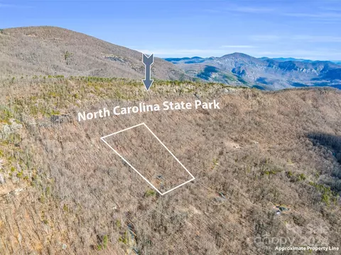 View/Area - 1730 Judes Gap Rd, Mill Spring, NC 28756 photo 5 of 13
