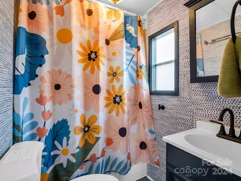 Bath - 1730 Judes Gap Rd, Mill Spring, NC 28756 photo 1 of 1