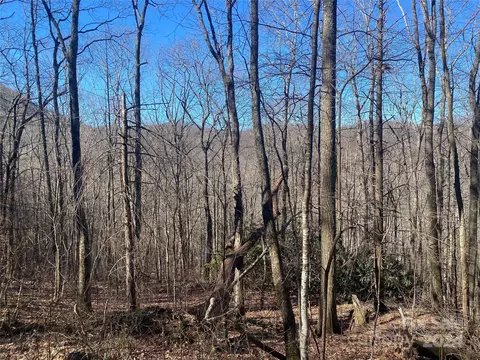Taylor Creek Road, Cullowhee, NC 28723