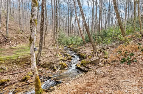 View/Area - 235 Double Top Trl, Sylva, NC 28779 photo 3 of 4