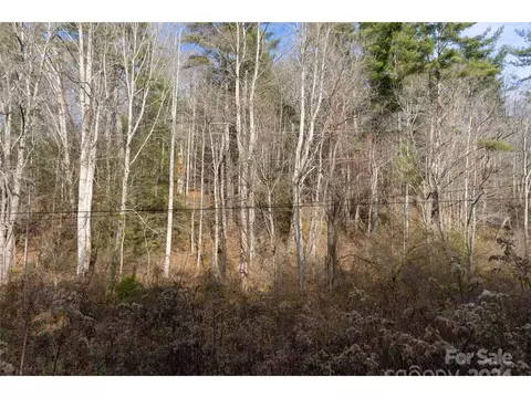 00 Long Branch Rd, Clyde, NC 28721 photo 5