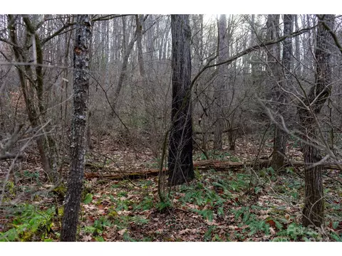 00 Long Branch Rd, Clyde, NC 28721 photo 3