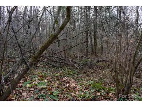 00 Long Branch Rd, Clyde, NC 28721 photo 2