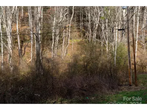 00 Long Branch Rd, Clyde, NC 28721 photo 4