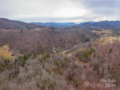 00 Long Branch Rd, Clyde, NC 28721 photo 11