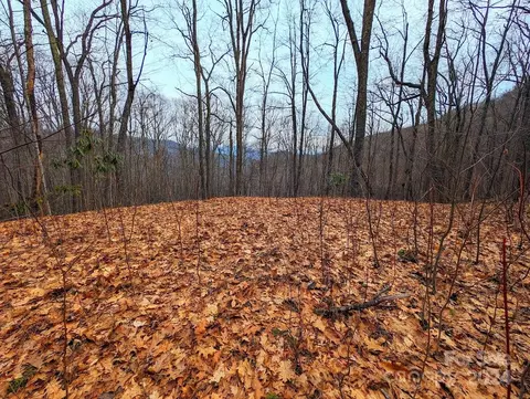 00 Adcock Mountain Rd, Waynesville, NC 28785