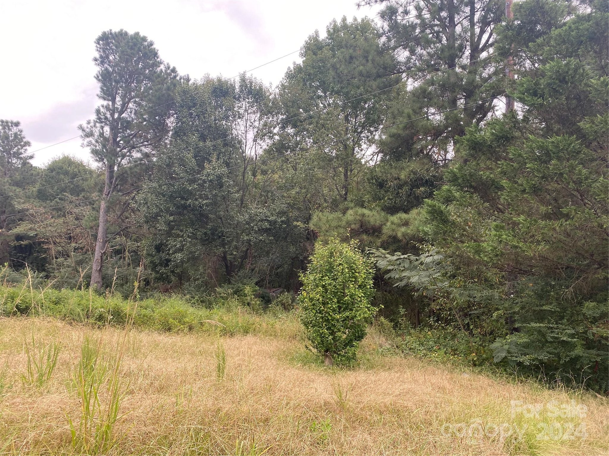 000 Austin Chaney 8 Rd Unit 8