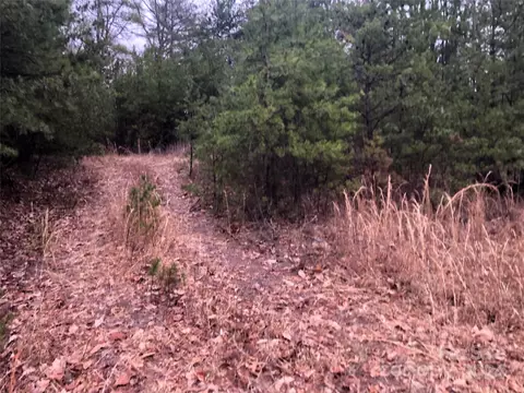 Wolf Pen 24 Road #24, Purlear, NC 28665 photo 9