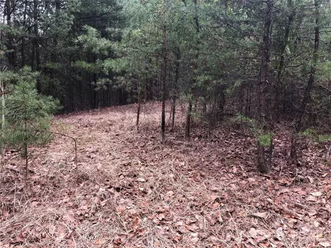 Wolf Pen 24 Road #24, Purlear, NC 28665 photo 11
