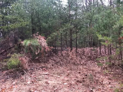 Wolf Pen 24 Road #24, Purlear, NC 28665 photo 14