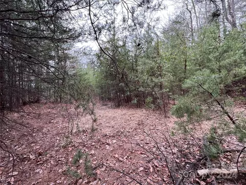 Wolf Pen 24 Road #24, Purlear, NC 28665 photo 12