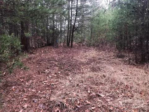 Wolf Pen 24 Road #24, Purlear, NC 28665 photo 13