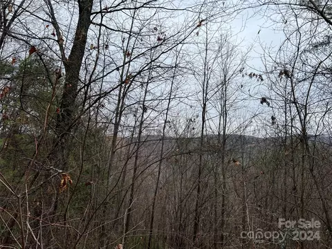 Wolf Pen 24 Road #24, Purlear, NC 28665 photo 2