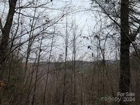 Wolf Pen 24 Road #24, Purlear, NC 28665 photo 4